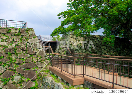 福岡城趾 福岡城趾 136639694