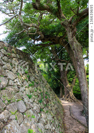 福岡城趾 136639695