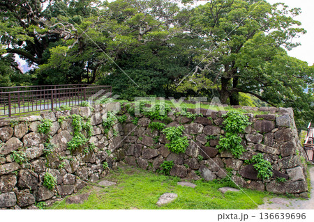 福岡城趾 福岡城趾 136639696