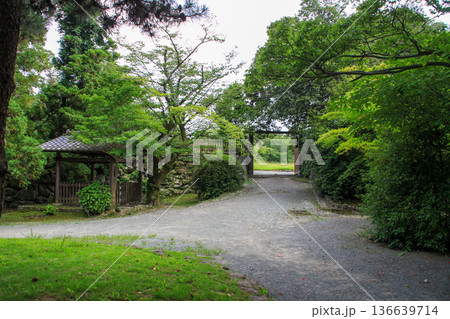 福岡城趾 福岡城趾 136639714