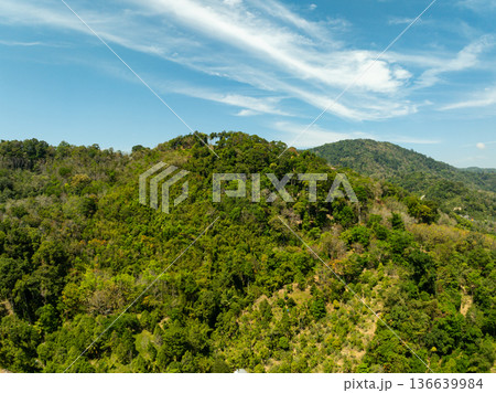 Aerial view Drone camera top view rainforest trees ecology with healthy environment concept and summer background,Green environment background Aerial view Drone camera top view rainforest trees ecology with healthy environment concept and summer background,Green environment background 136639984