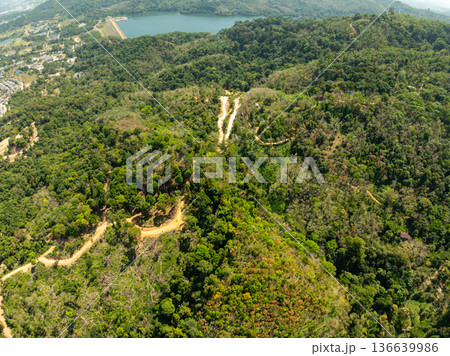 Aerial view Drone camera top view rainforest trees ecology with healthy environment concept and summer background,Green environment background Aerial view Drone camera top view rainforest trees ecology with healthy environment concept and summer background,Green environment background 136639986
