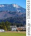 Residential houses on high mountain background. Winter season in Fraser valley, British Columbia 136640018