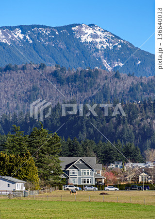 Residential houses on high mountain background. Winter season in Fraser valley, British Columbia 136640018