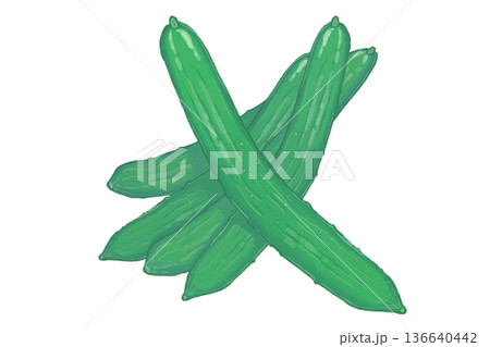 手描きの新鮮なきゅうり たくさん・山積み イラスト 136640442