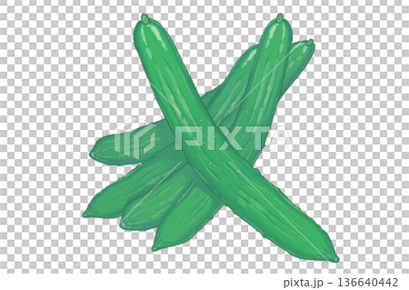 手描きの新鮮なきゅうり たくさん・山積み イラスト 136640442