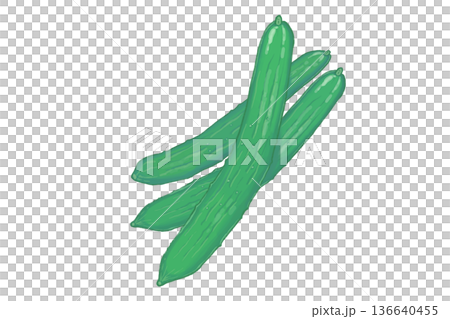 手繪三條新鮮黃瓜插圖 136640455