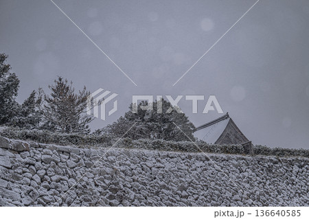 篠山城雪景色 篠山城雪景色 136640585