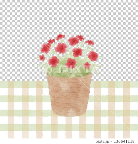 Potted red carnation and checkered background, square, watercolor style Potted red carnation and checkered background, square, watercolor style 136641119