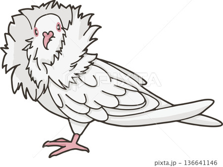 ジャコビン（観賞鳩）のイラスト（横向き・透過背景） 136641146