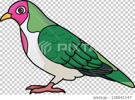 紐扣鴿插圖（風景，透明背景） 136641147