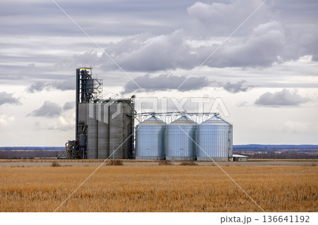 Grain elevator in spring field under clouds in silent prairies. Grain elevator in spring field under clouds in silent prairies. 136641192