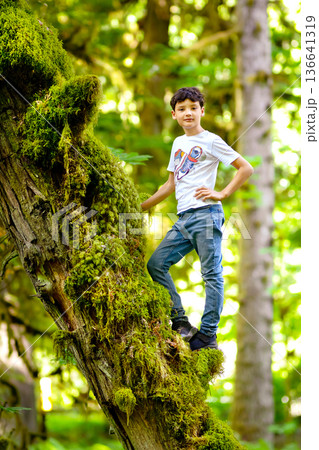 Teen boy is standing on the mossy tree trunk in the rainforest. 136641319