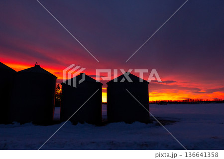 Granaries at the farm in red and purple sunset light in prairies. Granaries at the farm in red and purple sunset light in prairies. 136641358