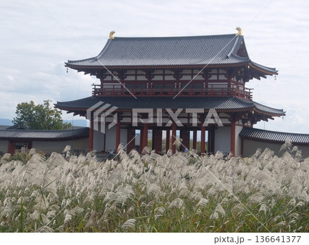 【奈良】平城宮跡・朱雀門 136641377