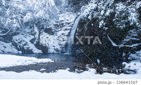 横谷峡(冬):白滝 横谷峡(冬):白滝 136641507