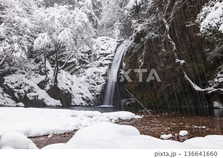 横谷峡(冬):白滝 横谷峡(冬):白滝 136641660