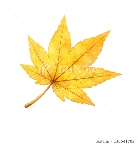 もみじ 黄色 水彩 葉っぱ 秋 シンプル イラスト 切り抜き素材 136641702