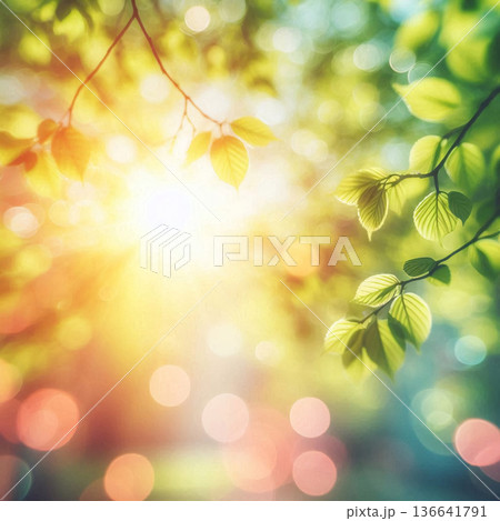 木漏れ日きらめく新緑素材のイラスト素材 [136641791] - PIXTA