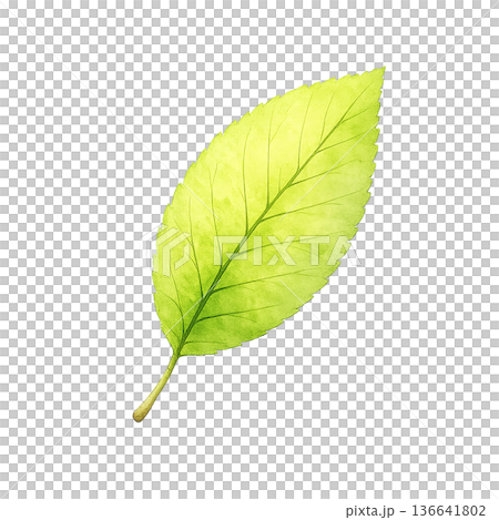 葉插圖 136641802