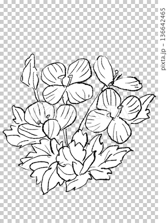 手繪線條畫，描繪了盛開的波斯花。 136642465