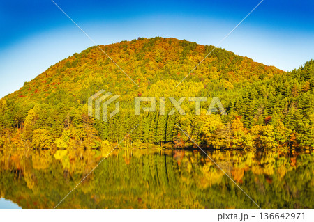 水面に写りこんだ紅葉 136642971