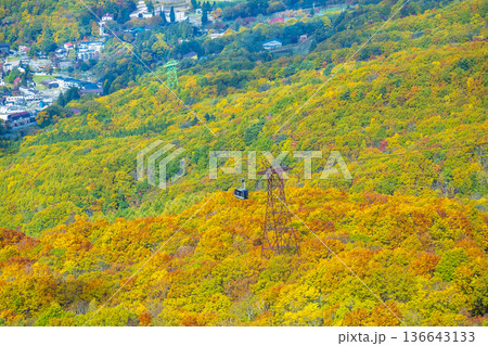 秋の蔵王 136643133