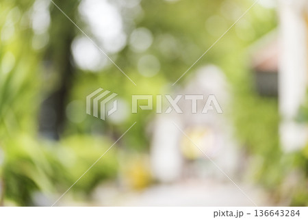 Blur background green park garden nature bright sunny forest. Blurry outdoor park in spring time glowing shinny day template with sunlight bokeh. Abstract blurred background banner copy space. 136643284