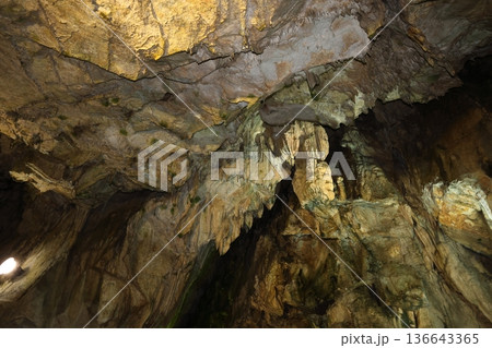 あぶくま洞 福島県田村市 136643365