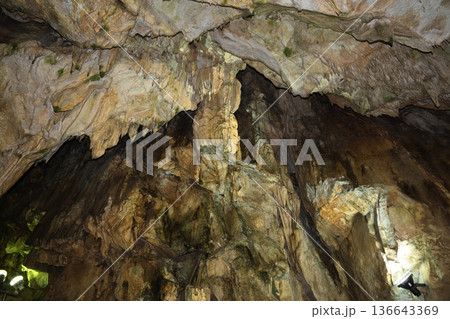 あぶくま洞 福島県田村市 136643369