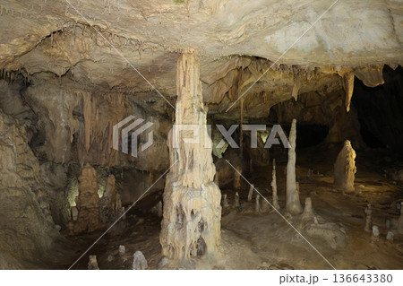 あぶくま洞 福島県田村市 136643380