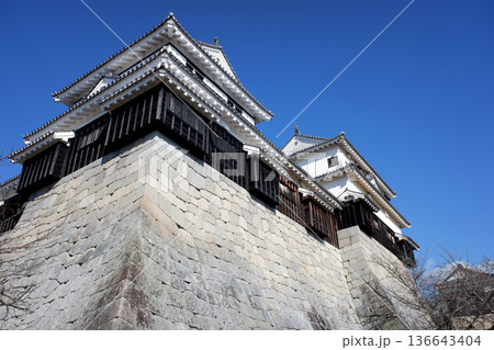 愛媛県　松山城・南隅櫓と小天守 136643404