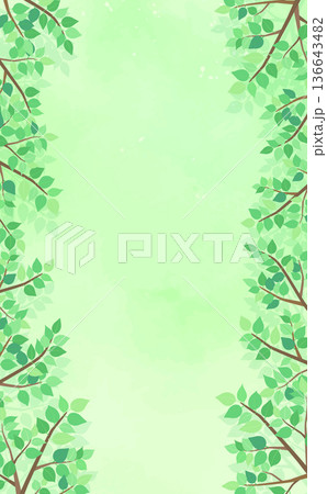 新緑の葉の背景5_縦 新緑の葉の背景5_縦 136643482