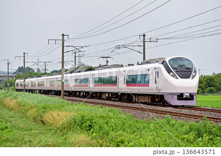 常磐線 岩間ー羽鳥 JR東日本 E657系 K10編成(勝田) ひたち ときわ 常磐線 岩間ー羽鳥 JR東日本 E657系 K10編成(勝田) ひたち ときわ 136643571