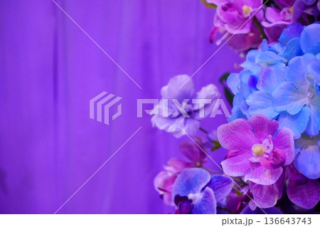 幻想的な紫グラデーション背景の胡蝶蘭と紫陽花の華やかなフラワーアレンジメント 幻想的な紫グラデーション背景の胡蝶蘭と紫陽花の華やかなフラワーアレンジメント 136643743