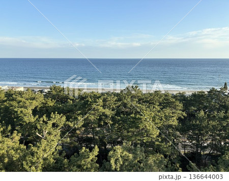 どこまでも続く青い海と海岸沿いに広がる緑豊かな松林のコントラストが美しい晴れた日の風景 136644003