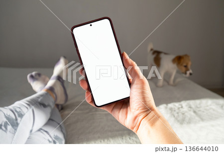 Woman holding smartphone with blank white screen for mock up display. 136644010