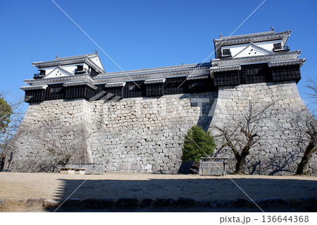愛媛県　松山城・本壇西面 136644368