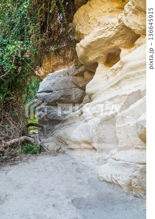 Exploring the Geological Wonders of Avakas Gorge in Paphos, Cyprus A Natural Stone Formation Exploring the Geological Wonders of Avakas Gorge in Paphos, Cyprus A Natural Stone Formation 136645915