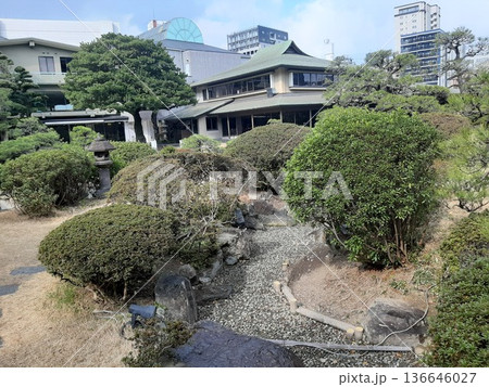 新緑に包まれた庭園風景 新緑に包まれた庭園風景 136646027