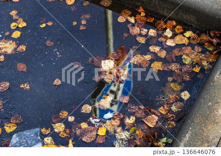 City street showcases vivid bicycle images amid falling autumn leaves and rippling streams 136646076