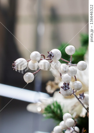 Frosted berries with soft background. Delicate berries on icy branch with subtle lighting Frosted berries with soft background. Delicate berries on icy branch with subtle lighting 136646322