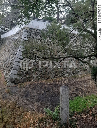苔むした石垣 石垣 石造り 苔むした石垣 石垣 石造り 136647631