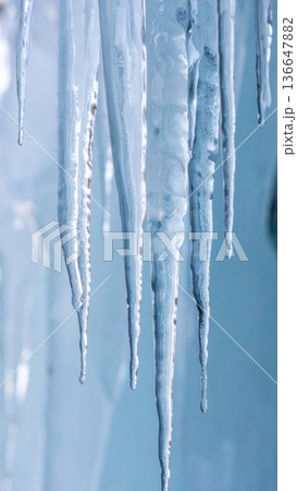 Close Up of Hanging Blue Icicles with Detailed Frost Crystals in Winter Season 136647882