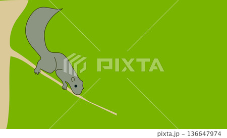 Vector illustration squirrel on green 136647974