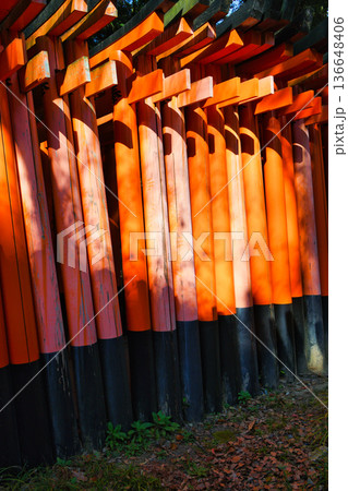 京都　伏見稲荷大社　千本鳥居（京都府京都市伏見区） 136648406