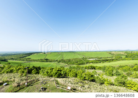 北海道中標津町　開陽台展望館から望む初夏の北海道の風景 136648608