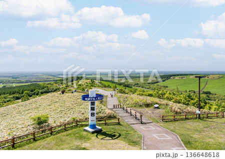 北海道中標津町　開陽台展望館から望む初夏の北海道の風景 136648618