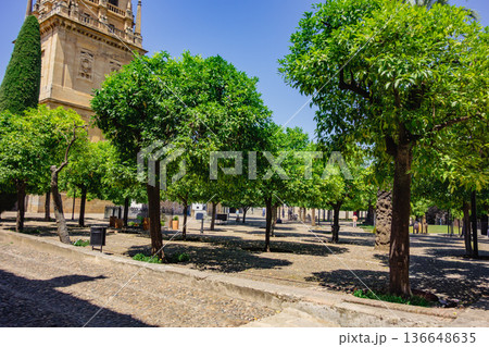 ゴルドバ街のメスキータの広場 136648635