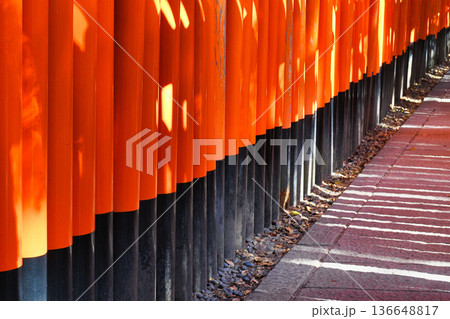 京都　伏見稲荷大社　千本鳥居（京都府京都市伏見区） 136648817